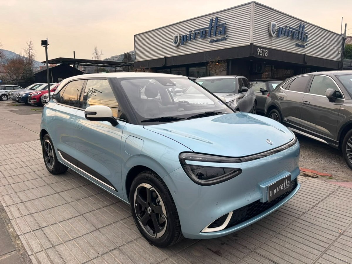 2025 Dongfeng Nammi 001
